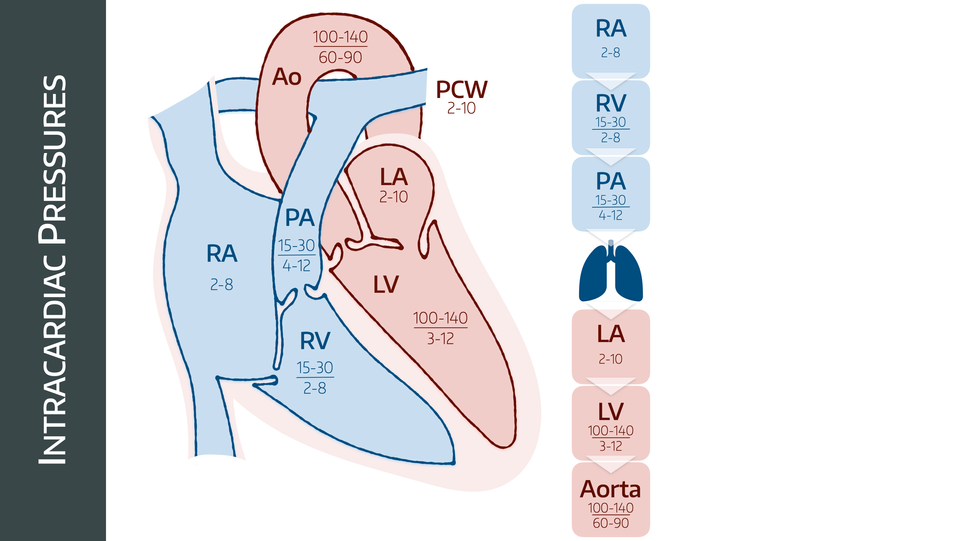Pressure Waveforms and Cardiac Output