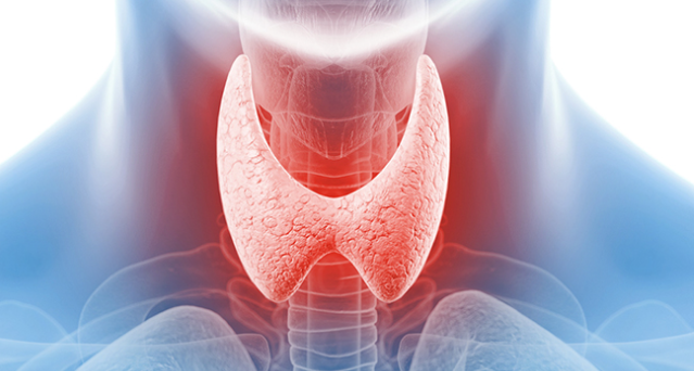 Thyroid and Parathyroid Surgery