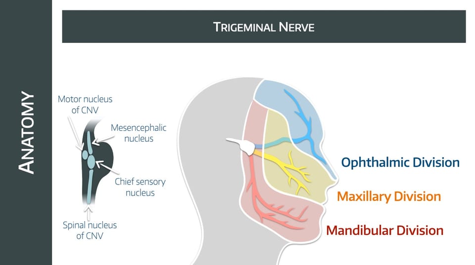 Trigeminal Neuralgia